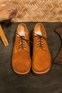 Masa Derby Golden Brown II - Unmarked